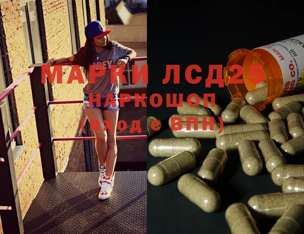 apvp Алексин