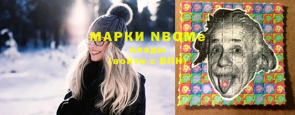 apvp Алексин