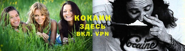 apvp Алексин