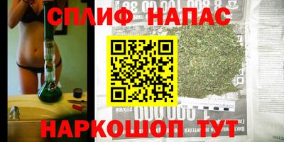 МДПВ Партизанск