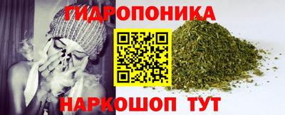 МДПВ Партизанск