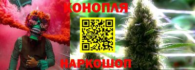 МДПВ Партизанск