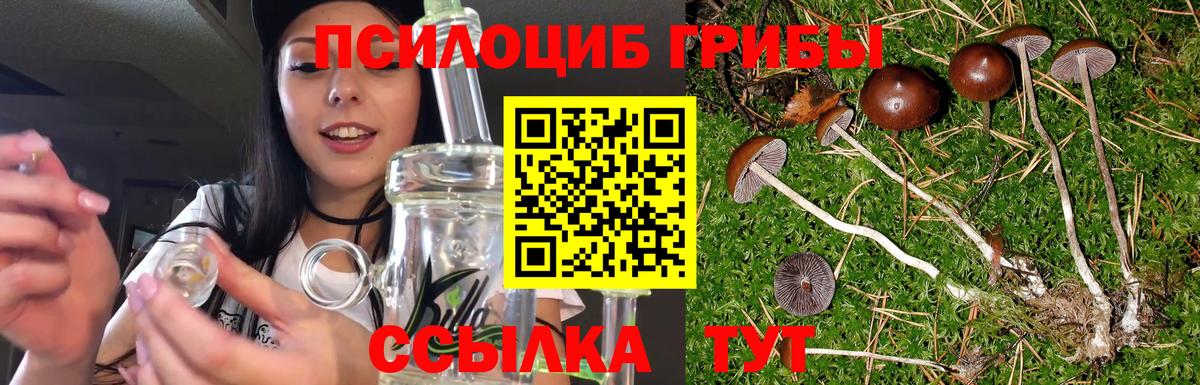 магазин    Псилоцибиновые грибы ЛСД  Вход с VPN  Усть-Илимск 